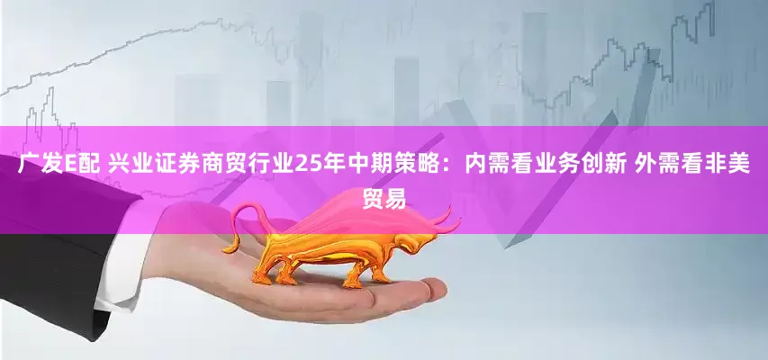 广发E配 兴业证券商贸行业25年中期策略：内需看业务创新 外需看非美贸易