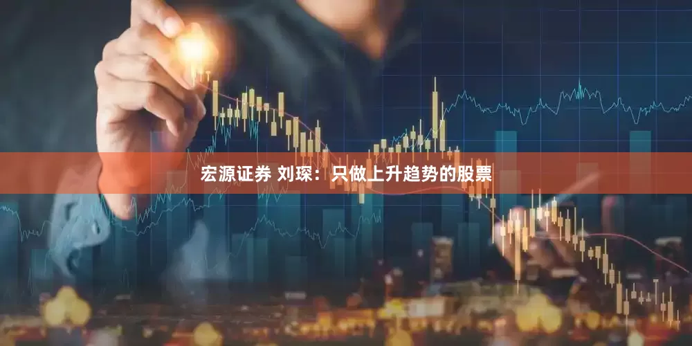宏源证券 刘琛：只做上升趋势的股票