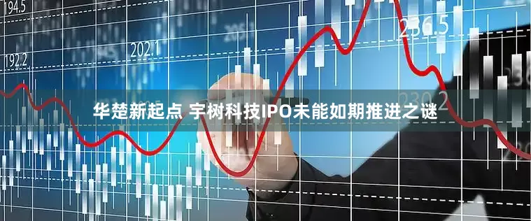 华楚新起点 宇树科技IPO未能如期推进之谜