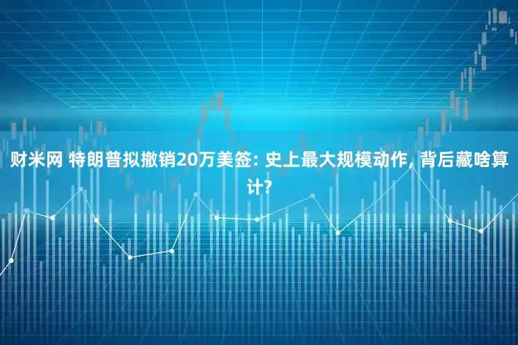 财米网 特朗普拟撤销20万美签: 史上最大规模动作, 背后藏啥算计?